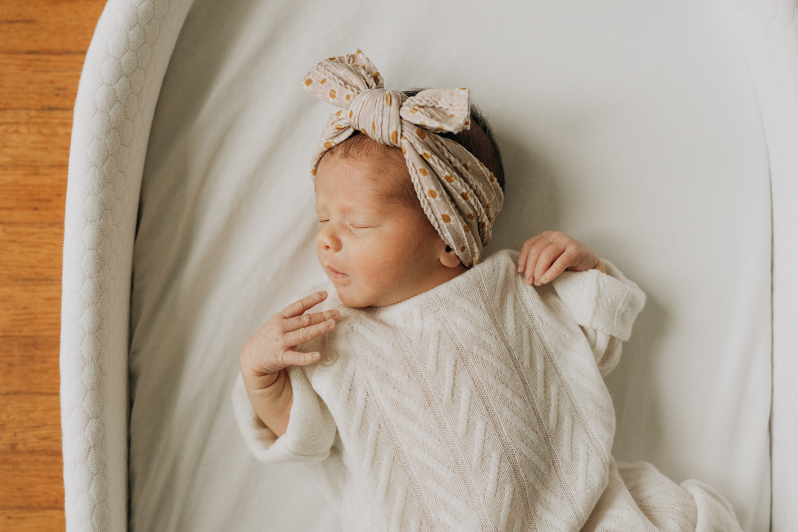Newborn baby portraits