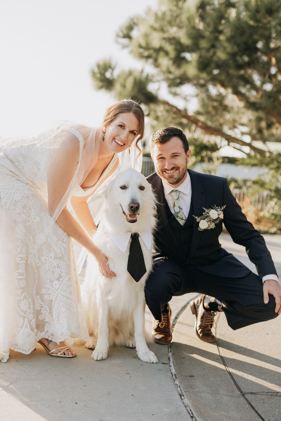 Wedding Ceremony Dog