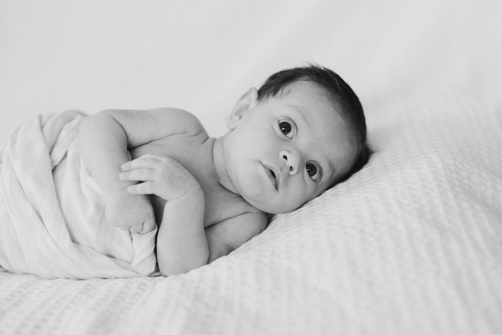 Newborn blanket photo